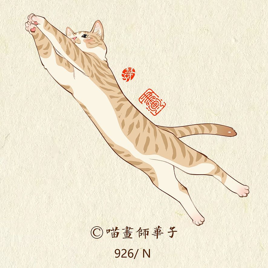 画猫的第三季250天,937天的画猫纪录