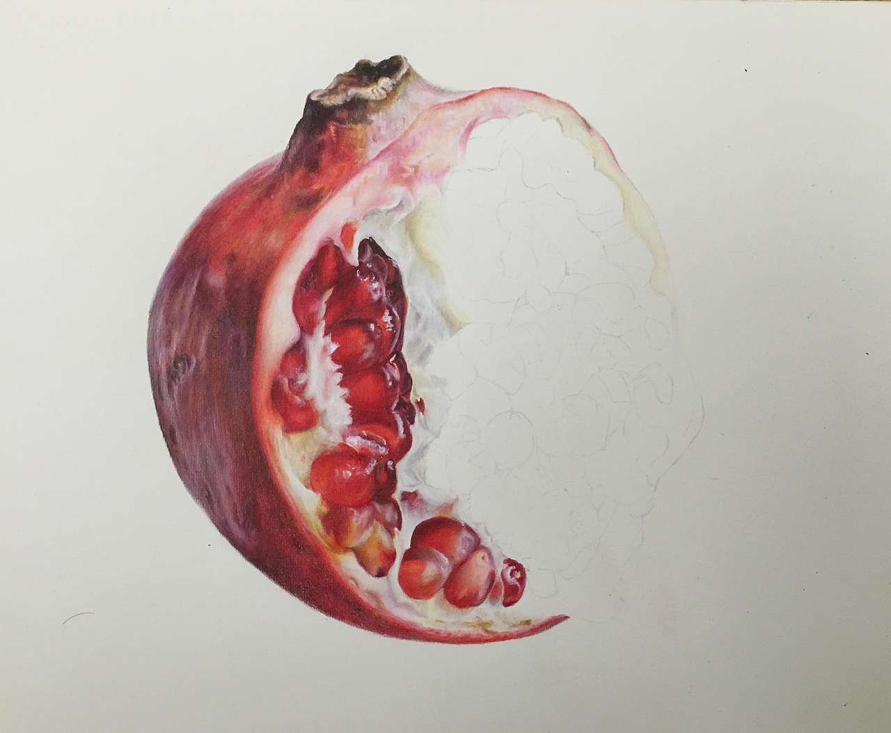 彩铅画【石榴】（图ZMTkxNjYzOTg4） - 绘画 - 站酷设计师龚方俊手绘原创素材 - 站酷ZCOOL