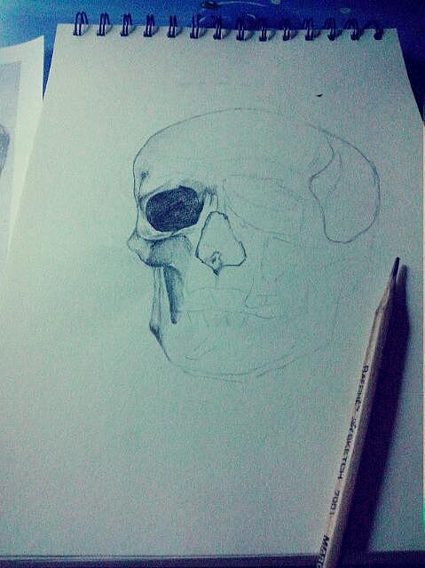 頭蓋骨（圖ZMTUyMzE3Njg=） - 繪畫 - 站酷設(shè)計(jì)師鐵錘幺妹兒原創(chuàng)素材 - 站酷ZCOOL