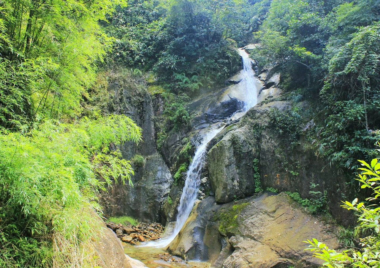 南岭国家森林公园