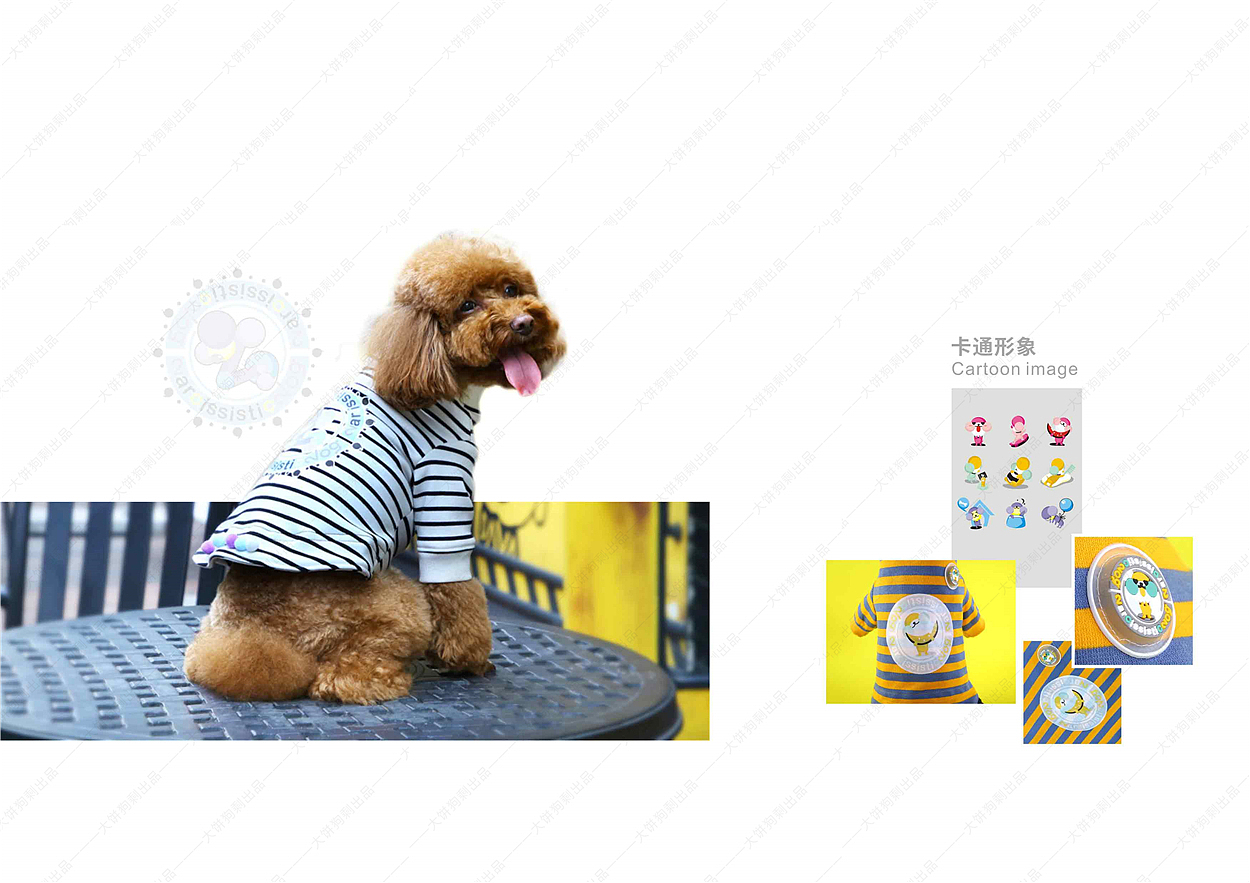 宠物服装产品 服装类宣传册排版