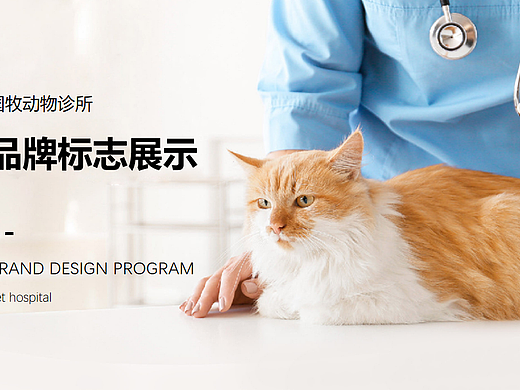 宠物医院logo设计--已商用