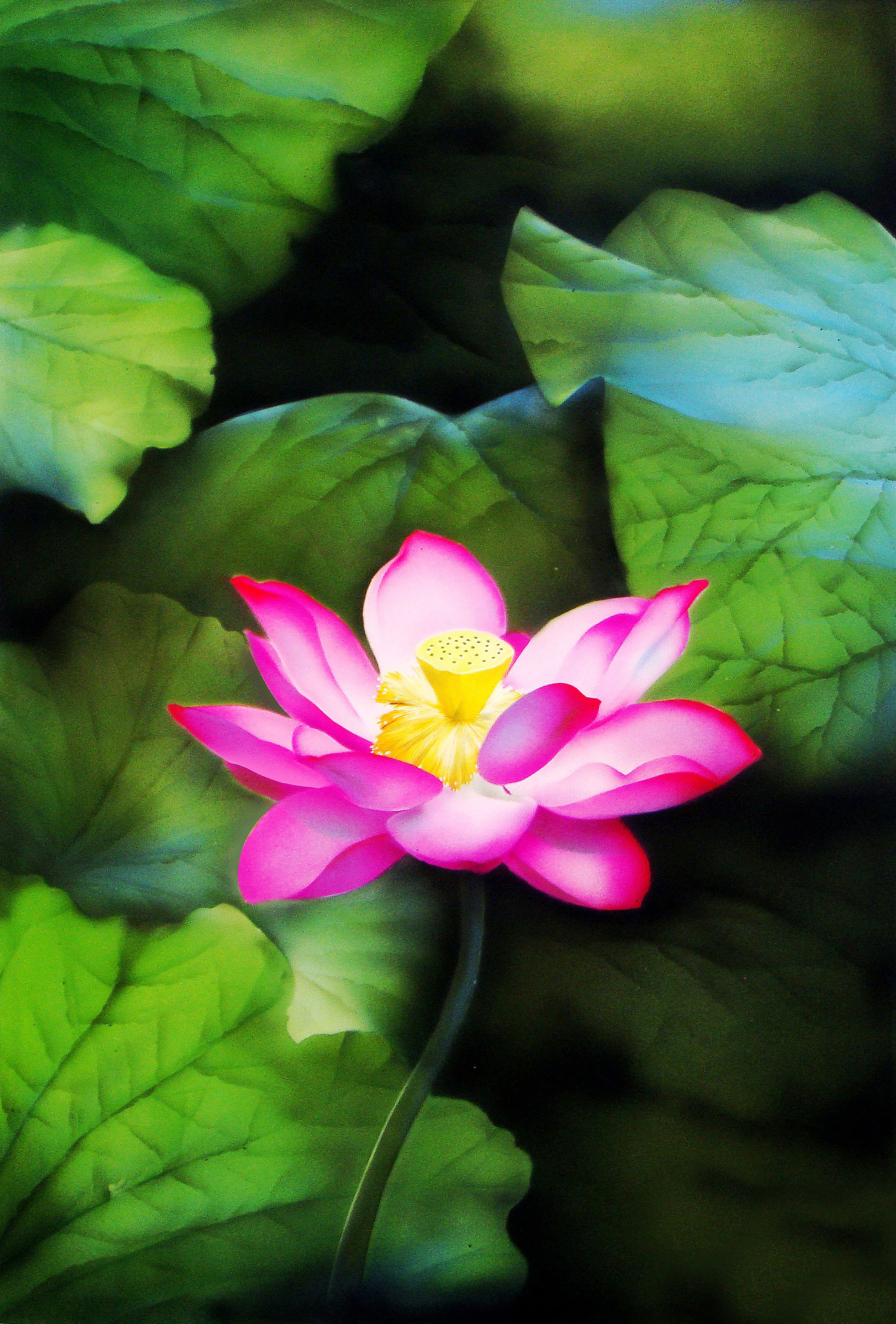 喷绘荷花漆版画孔雀