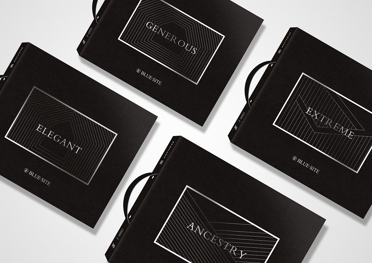 布鲁塞特画册封面设计(二)