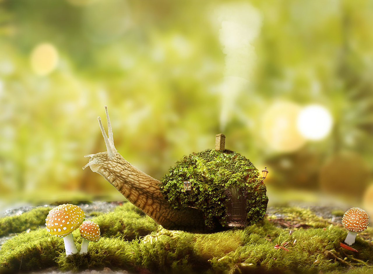 梦幻蜗牛场景合成