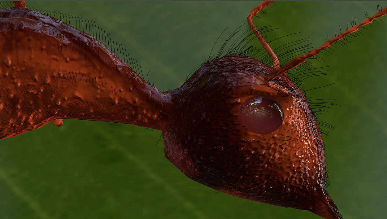 blender蚂蚁制作（图ZMjI4MDAzMTMy） - 人物/生物 - 站酷设计师cger8789原创素材 - 站酷ZCOOL