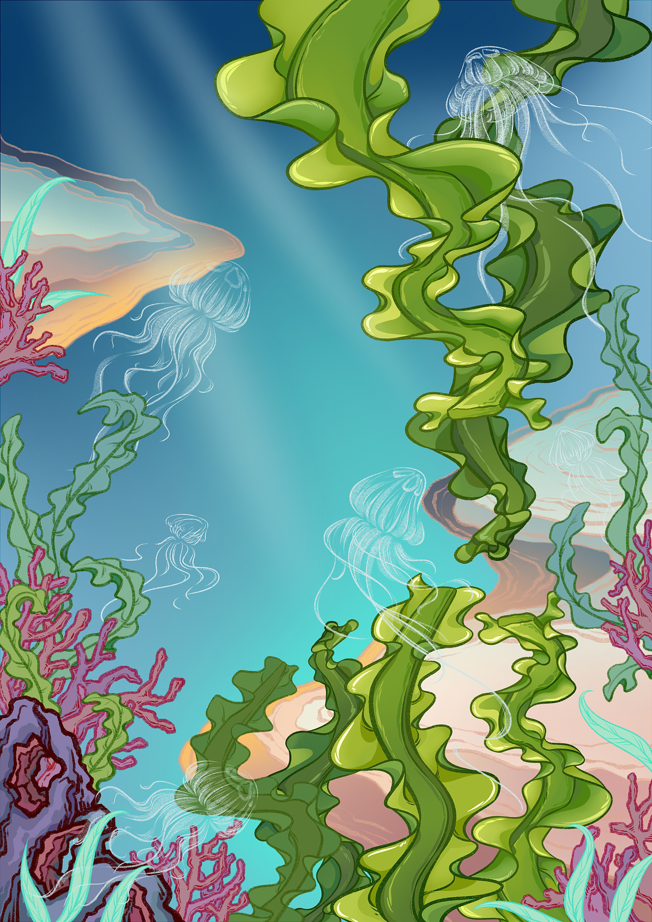 海藻沙拉 包装插画设计