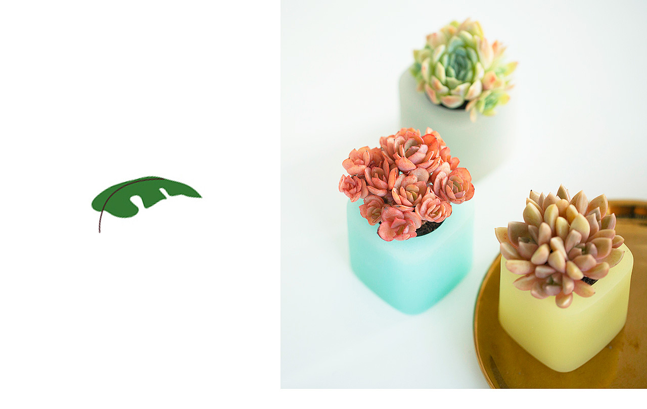 三款INS风家居无土栽培多肉植物-产品摄影（图ZMTMzNTk2NDg4） - 产品摄影 - 站酷设计师Pazza大安原创素材 - 站酷ZCOOL