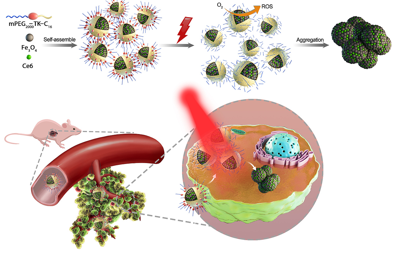 论文配图杂志封面设计科研绘图医学插画三维动画综述图
