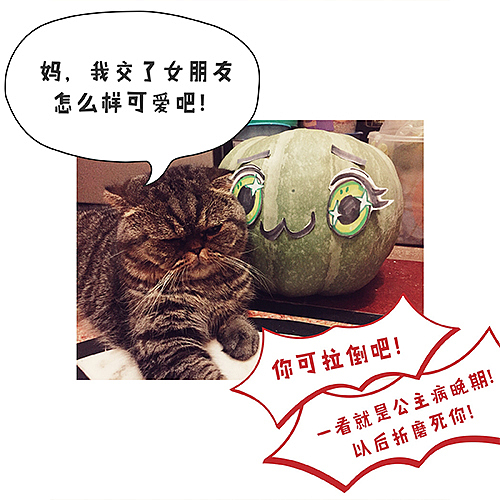 就这么混吃等死，挺好~3（图ZMTI0MzE5NTE2） - 创作习作 - 站酷设计师大轩子原创素材 - 站酷ZCOOL