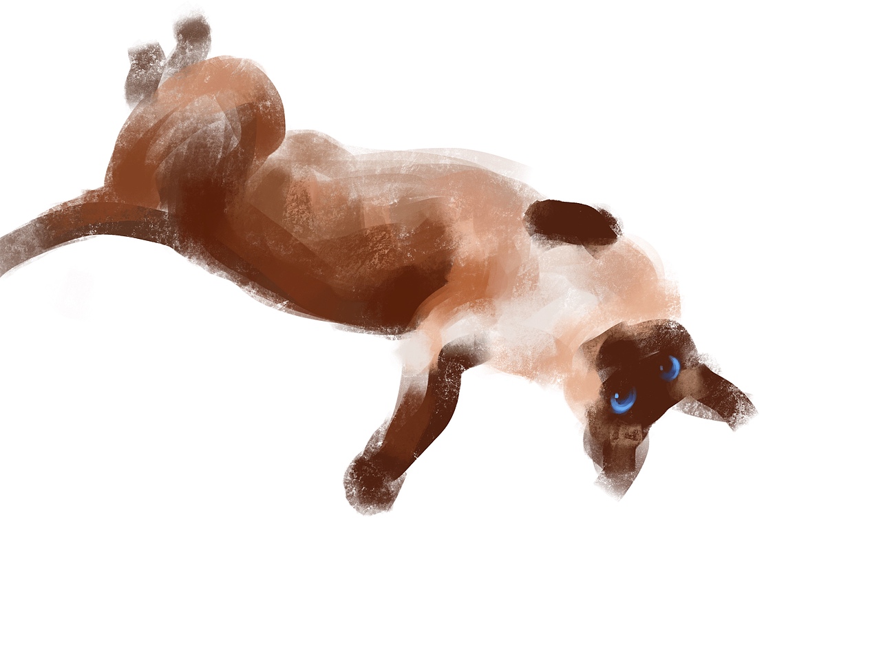 我有一只猫（图ZMTg5NTc5NDky） - 创作习作 - 站酷设计师elevendady原创素材 - 站酷ZCOOL