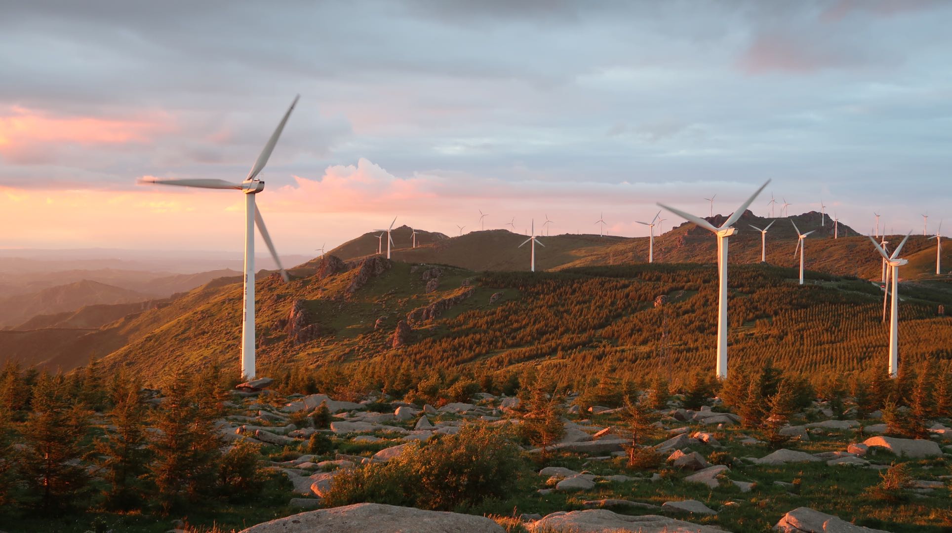 杨露ll的个人主页（背景预览） - 主页背景设置 - 站酷设计师杨露ll原创素材 - 站酷ZCOOL