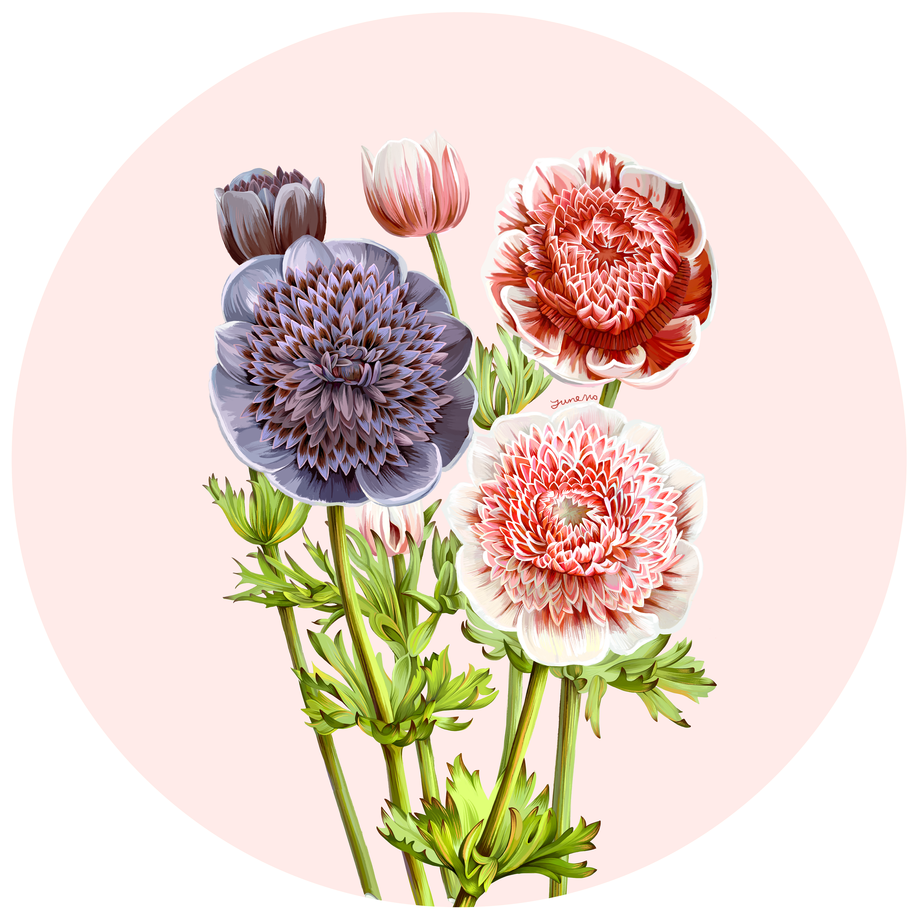 手绘花卉 艺术画 博物杂志复古风