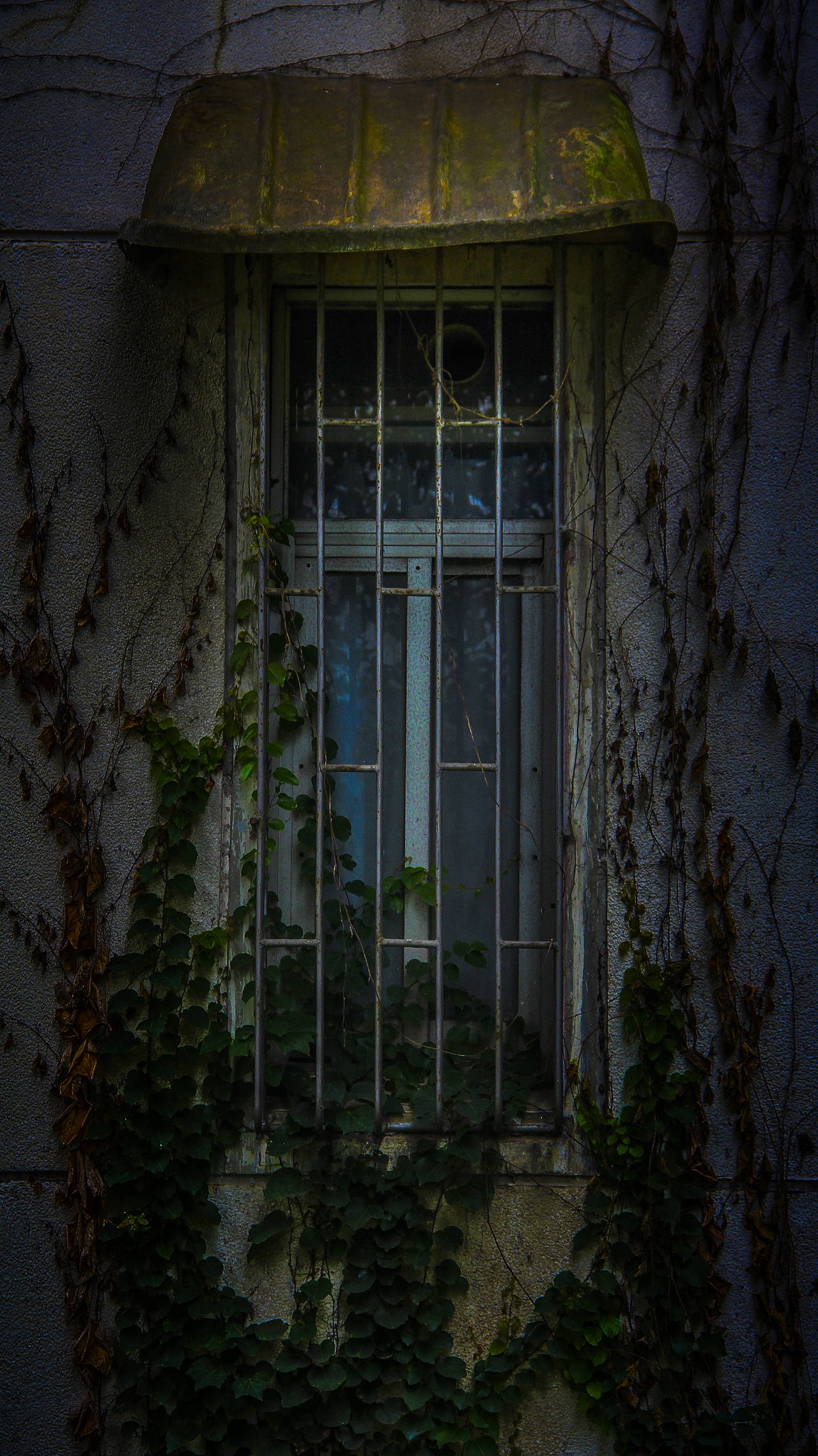 沉默的窗 SILENT WINDOW