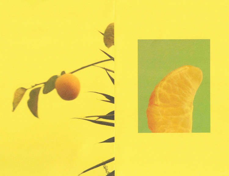 中國老花朵的個人主頁（封面預(yù)覽） - 主頁封面設(shè)置 - 站酷設(shè)計師中國老花朵原創(chuàng)素材 - 站酷ZCOOL