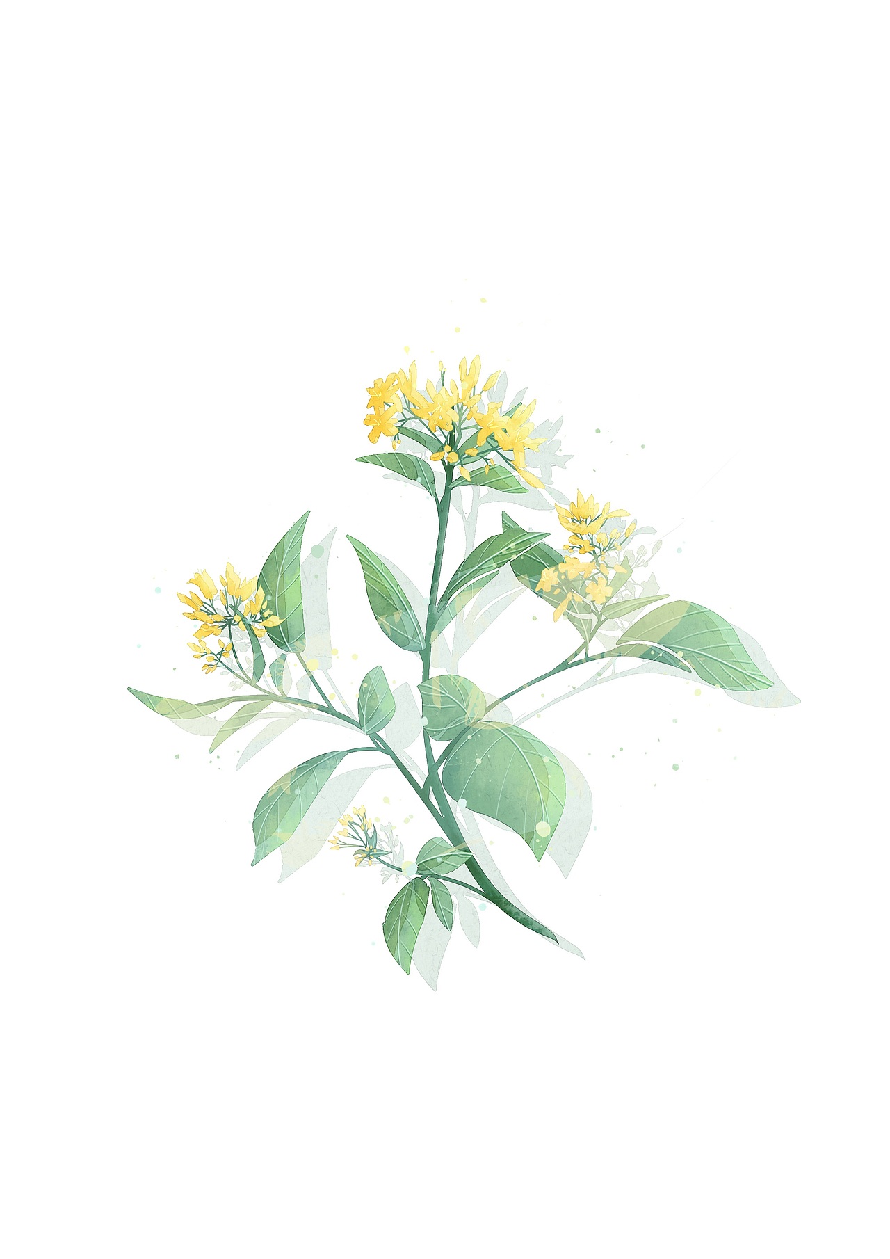 中药|平面|图案|雨文雯w_原创作品-站酷zcool