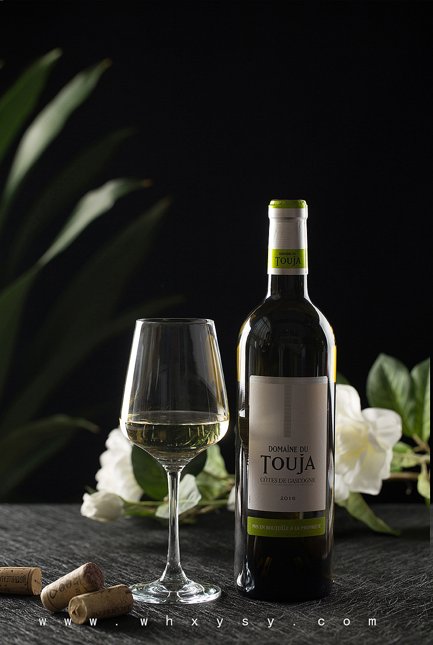 向左艺术料理餐厅餐单拍摄西餐日料美食摄影