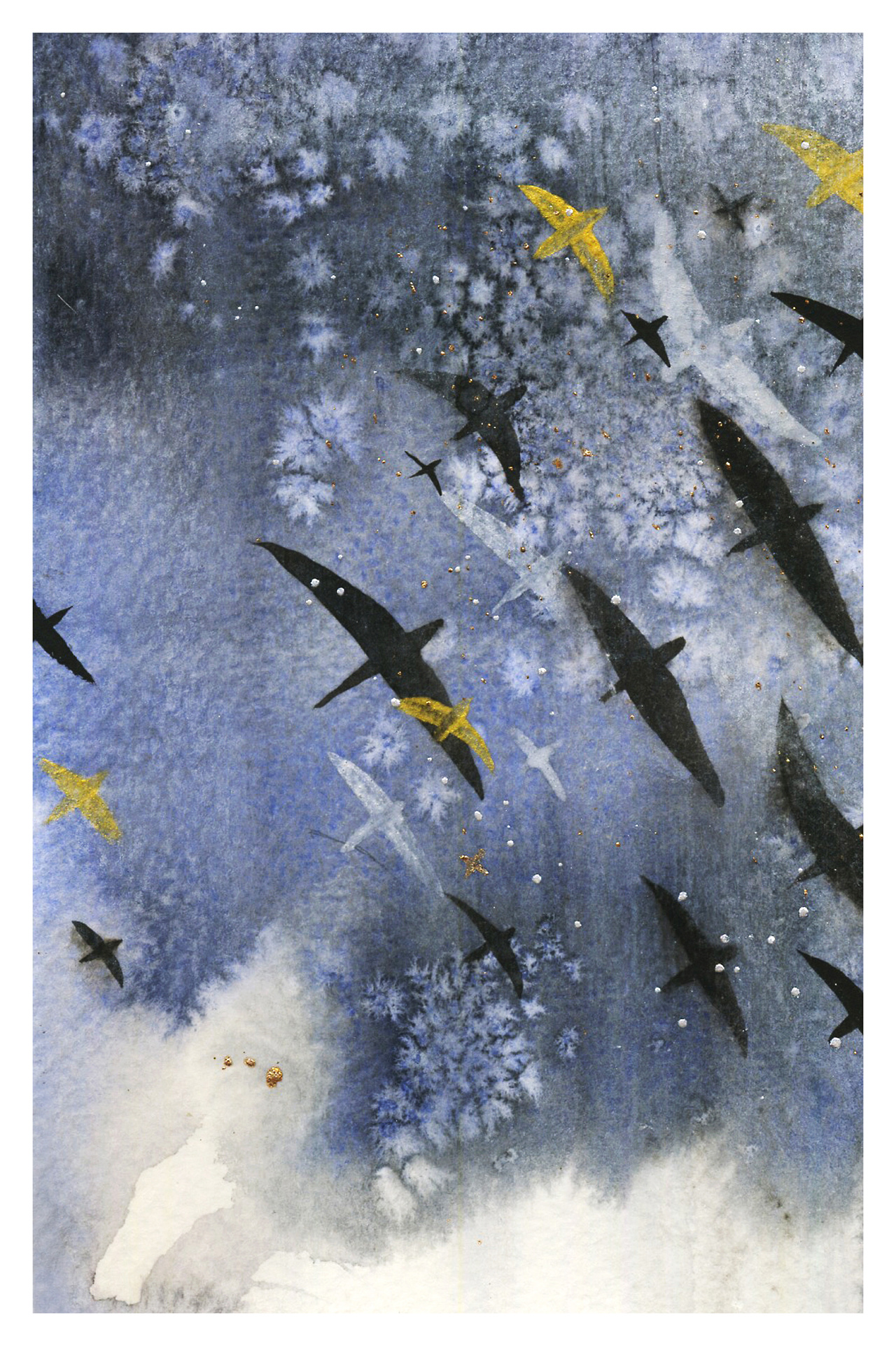 飞鸟三连|插画|插画习作|哞宅君 - 原创作品 - 站酷 (zcool)