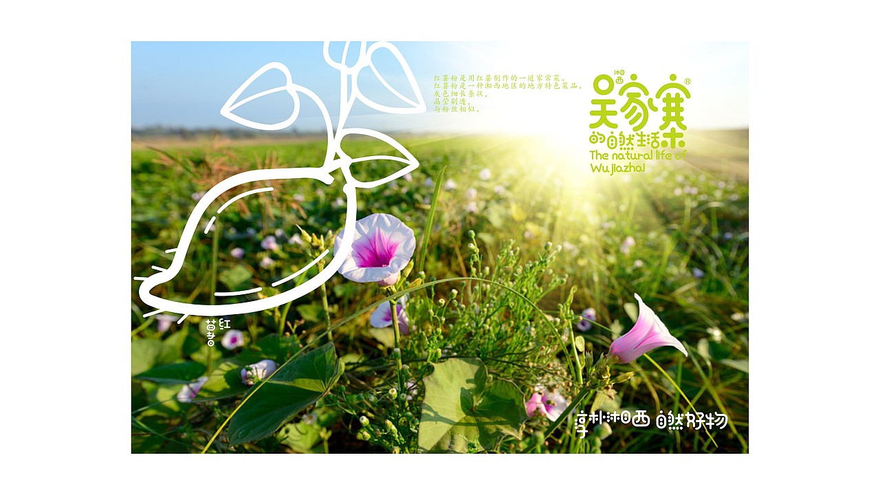 吴家寨红薯粉丝——淳朴湘西 自然好物（图ZMjM3NjQ5Mjk2） - 品牌 - 站酷设计师瑞邦品牌顾问原创素材 - 站酷ZCOOL