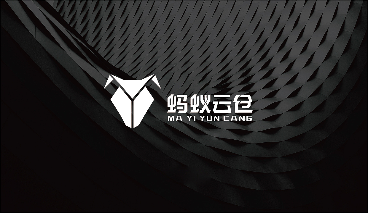 蚂蚁云仓LOGO设计方案