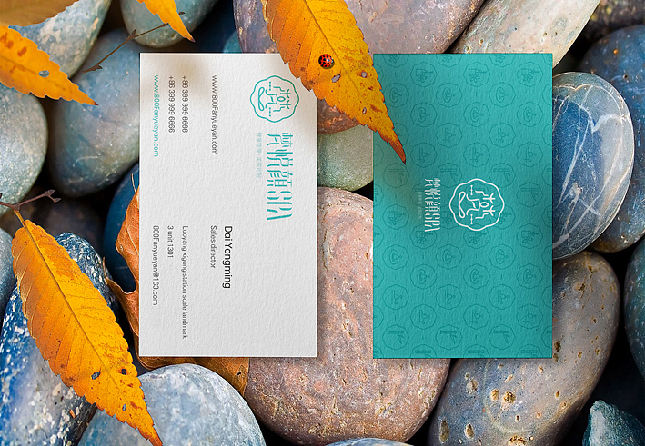 洛阳梵悦颜SPA LOGO设计 健康养生LOGO设计 亚健康调理LOGO设计 洛阳vi设计 洛阳著名标志设计 洛阳标志设计 洛阳品牌设计公司 高端会所LOGO设计