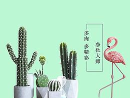 网页