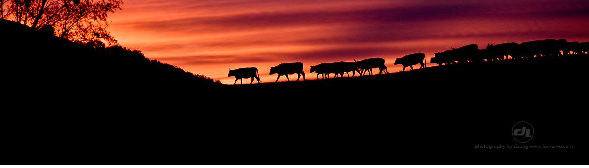 大藏的个人主页（封面预览） - 主页封面设置 - 站酷设计师大藏原创素材 - 站酷ZCOOL