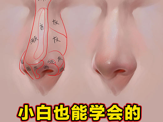 小白也能学会的鼻子画法