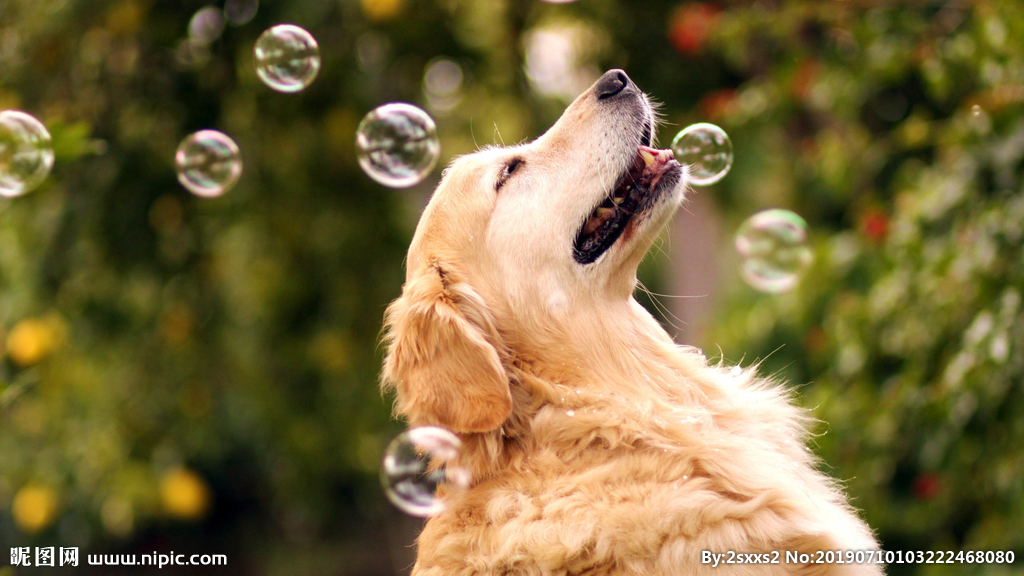 Z12152111的個(gè)人主頁(yè)（封面預(yù)覽） - 主頁(yè)封面設(shè)置 - 站酷設(shè)計(jì)師Z12152111原創(chuàng)素材 - 站酷ZCOOL