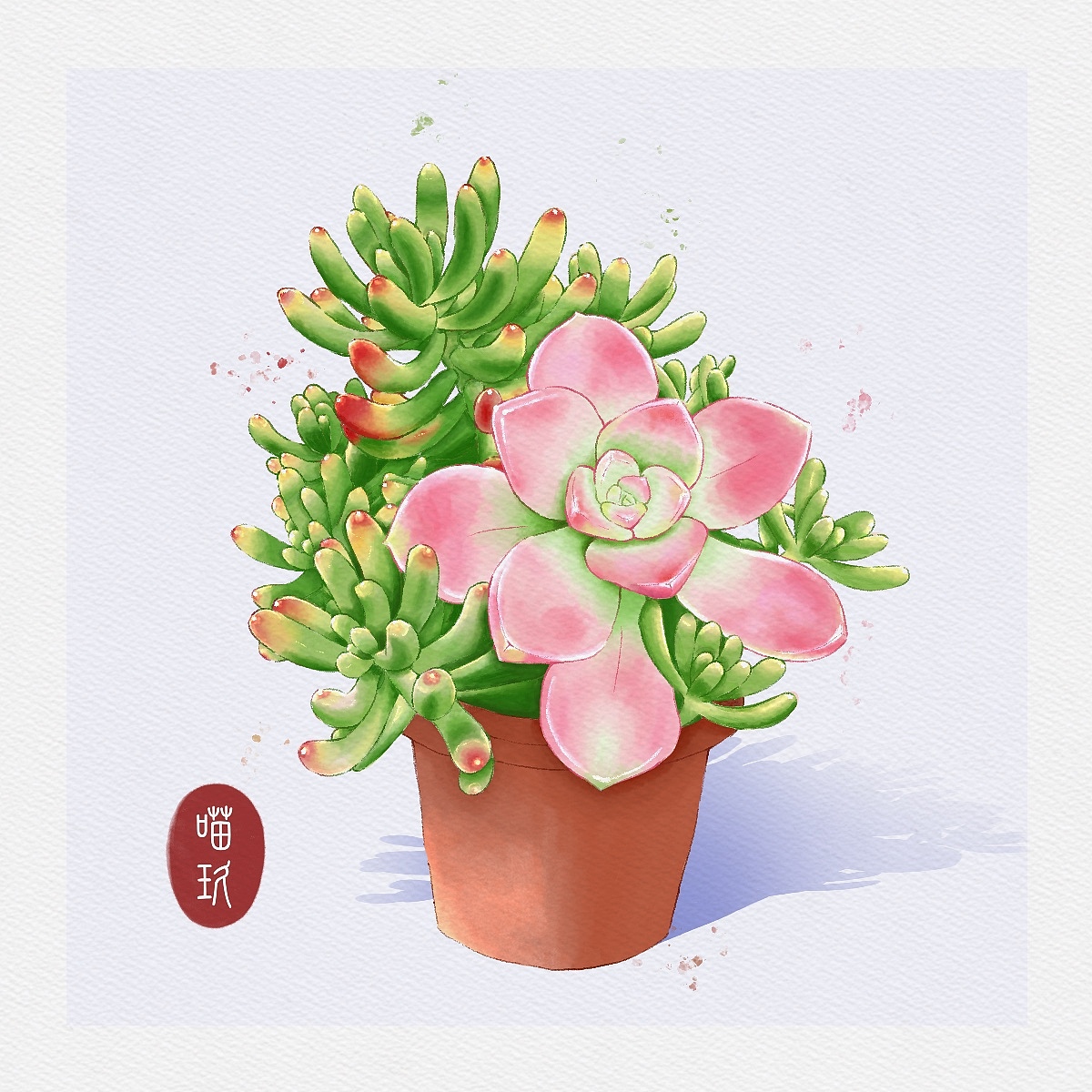 水彩多肉盆栽系列