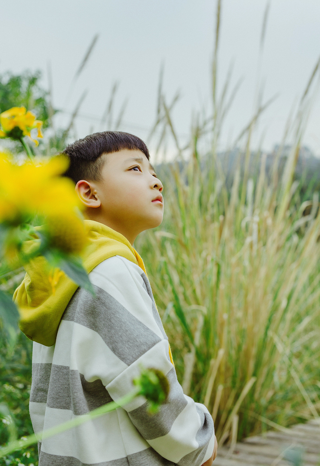 邻家有儿初长成~