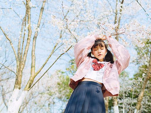 樱の花