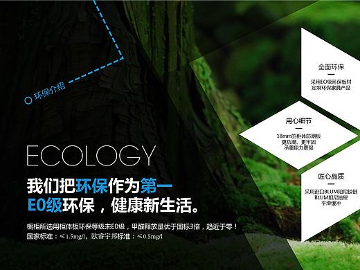 品牌介绍设计&动态