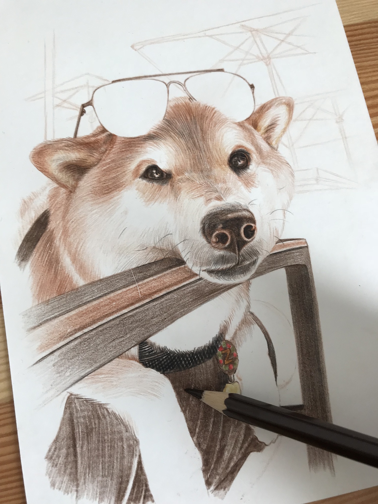 柴犬怎么画彩铅图片