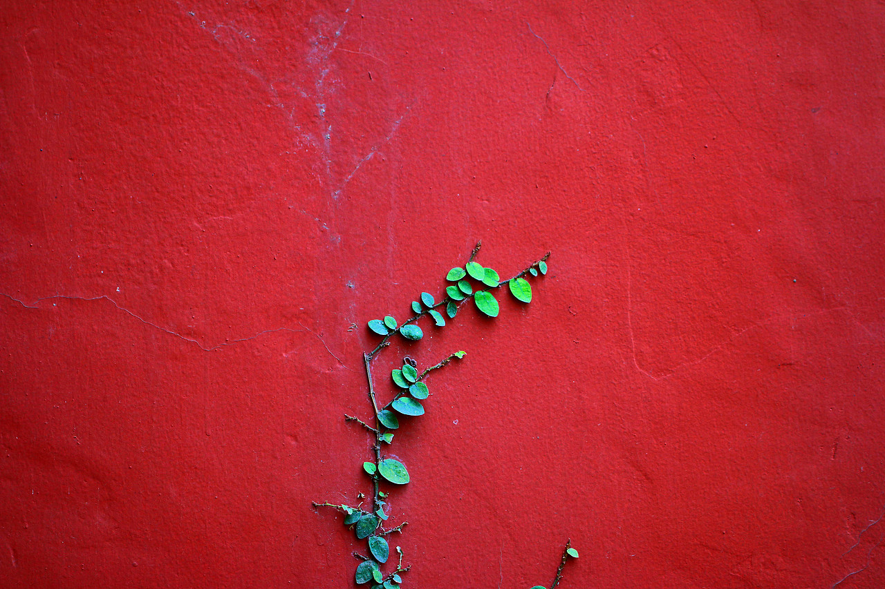 杂拍的风景（图ZMzY4MTA3NDg=） - 风光摄影 - 站酷设计师王游歌原创素材 - 站酷ZCOOL