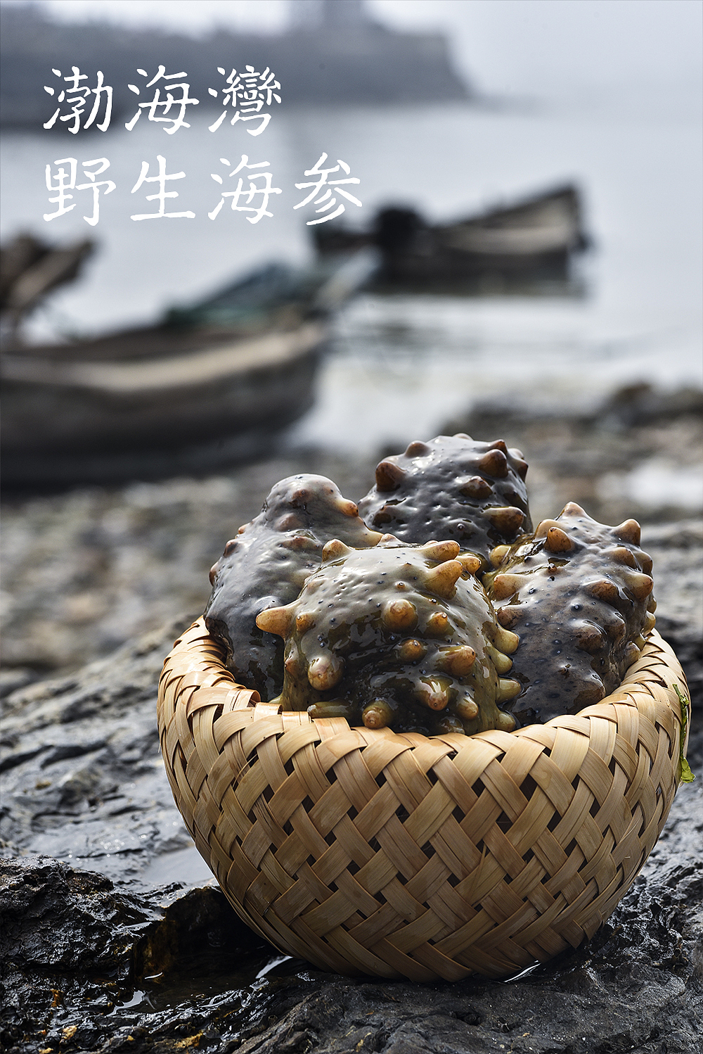 乳山荣成一日游（图ZNzM0OTAxMDQ=） - 产品摄影 - 站酷设计师摄影师董名扬原创素材 - 站酷ZCOOL