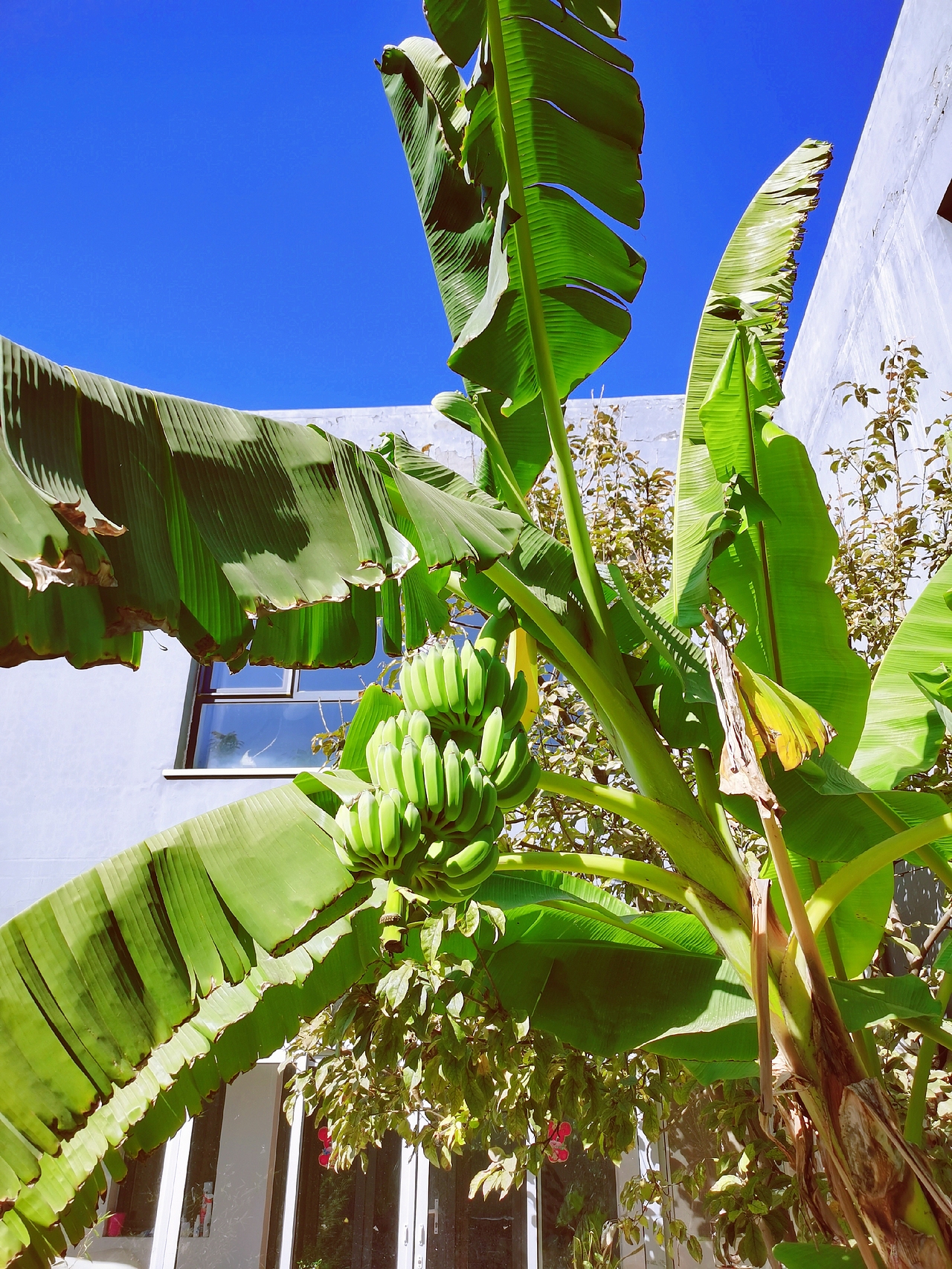 书桌六尺，即为文人之战场（图ZMjI5NDEwMzAw） - 产品摄影 - 站酷设计师的庐原创素材 - 站酷ZCOOL