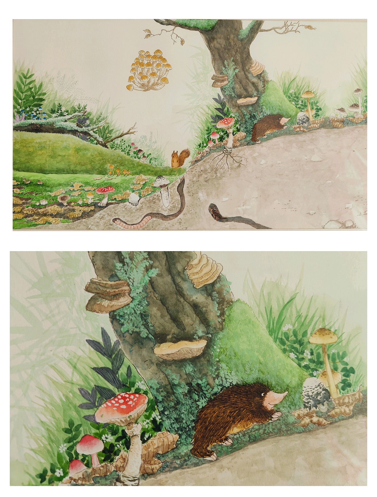 趣味植物科普插画（图ZMzc2Mjg3NDky） - 儿童插画 - 站酷设计师大吉2019原创素材 - 站酷ZCOOL