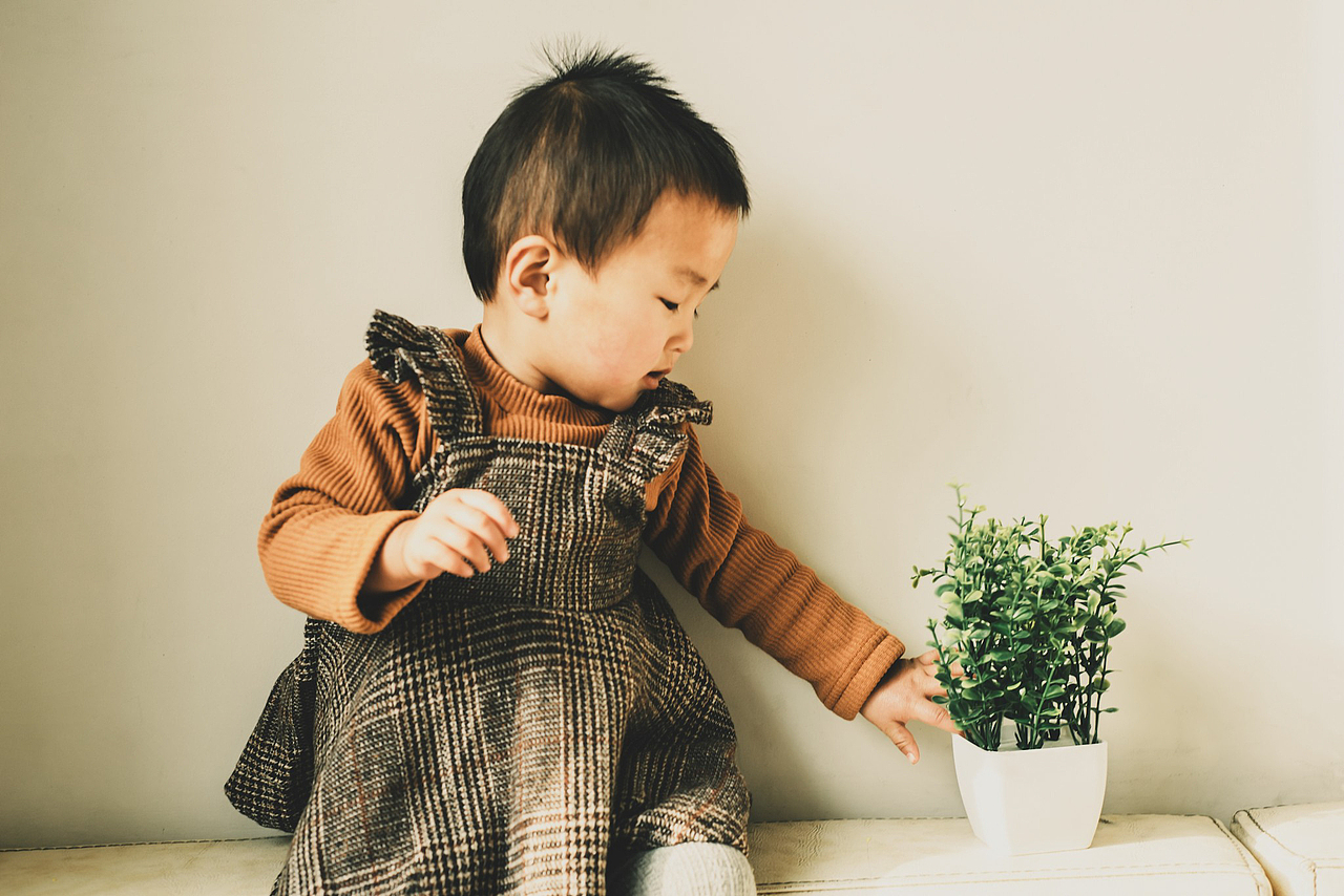 一个阳光明媚的星期五