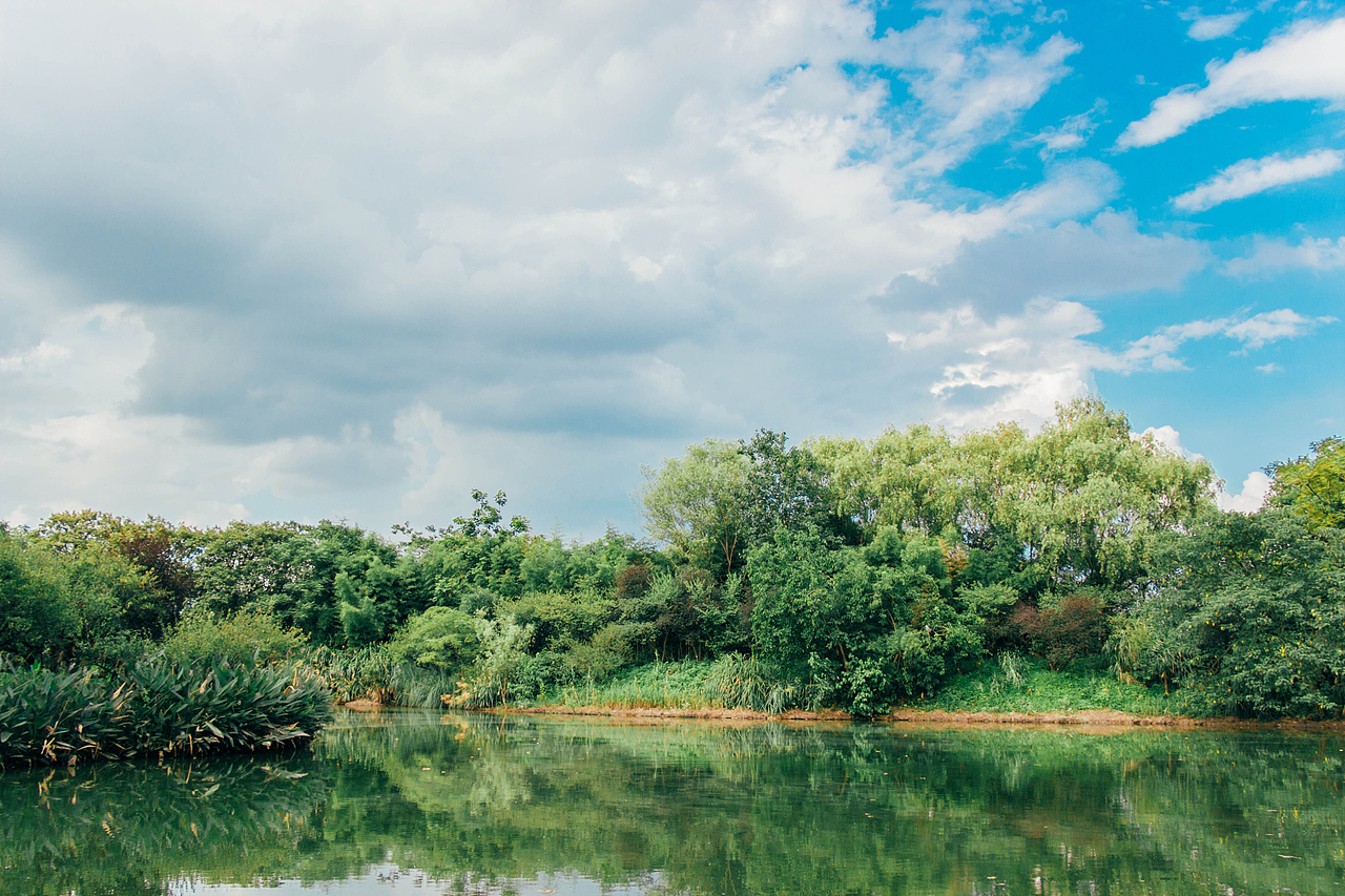 就喜欢夏天出来晒太阳-西溪湿地