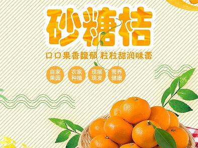 桔子（砂糖桔）详情（个人主页-ZMzAyMzQ3ODA=） - 电商 - 站酷设计师向阳奔跑的婷原创素材 - 站酷ZCOOL