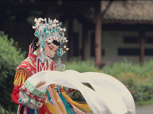 鬓边不是海棠红 | 人生犹如戏中人 你方唱罢我登场