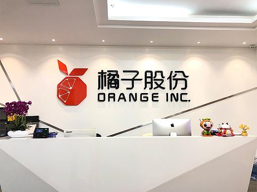 VI视觉识别管理系统