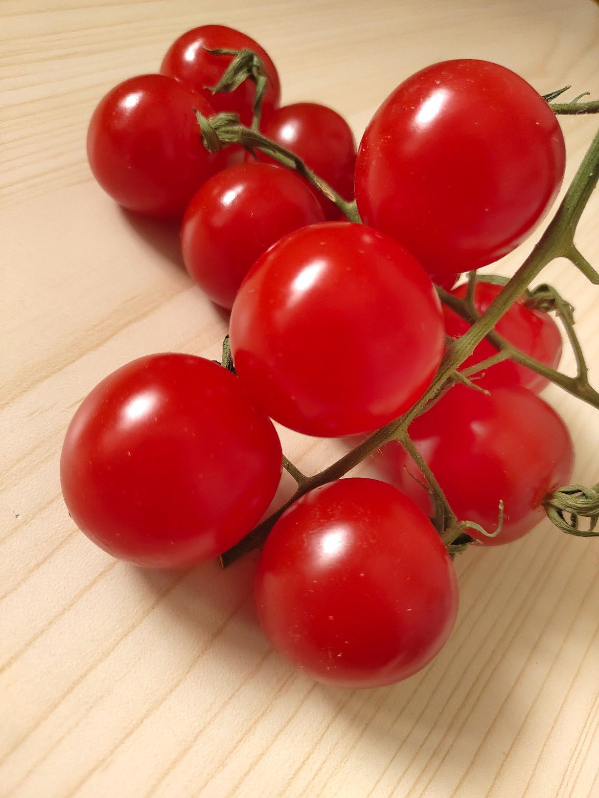 《番茄红了》-手机摄影