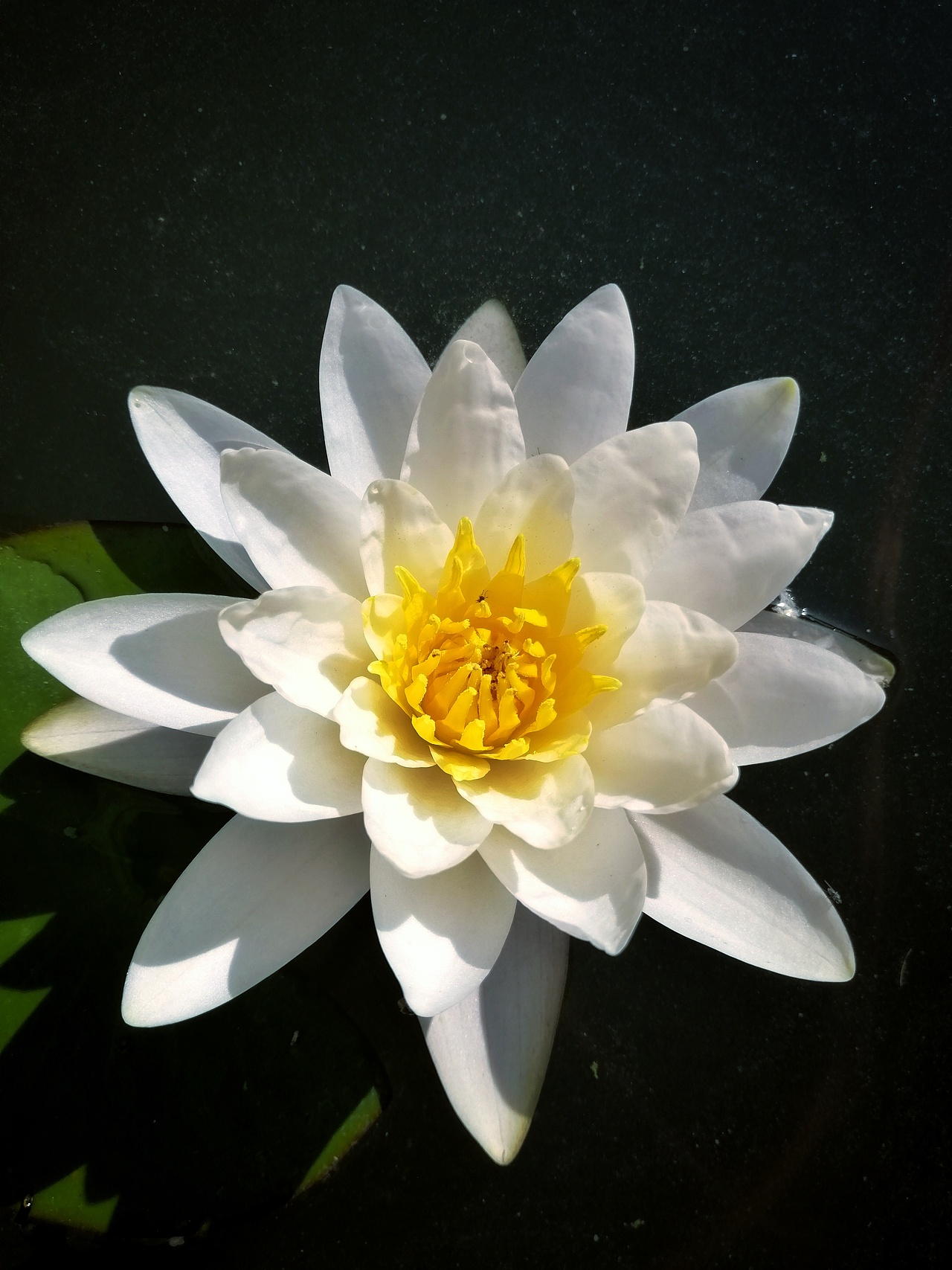 秋日胜春朝（图ZMTI5NDQxMzgw） - 风光摄影 - 站酷设计师于先生Plus10原创素材 - 站酷ZCOOL