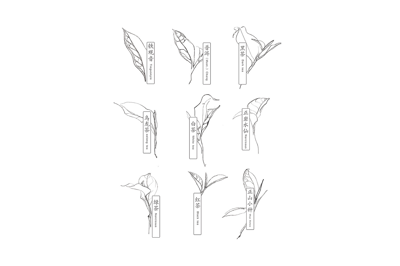 茶叶品牌全案设计开发(传统新表现)