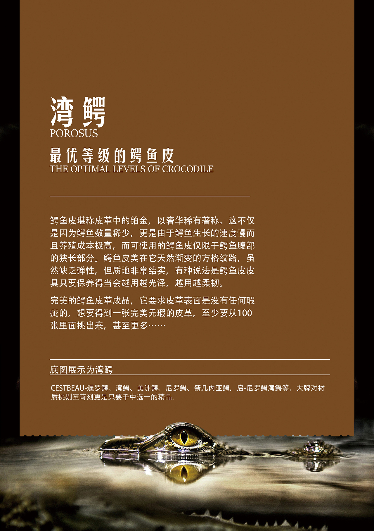 皮质卡片（图ZNDkxOTU0NjQ=） - 品牌 - 站酷设计师三番尧彗原创素材 - 站酷ZCOOL