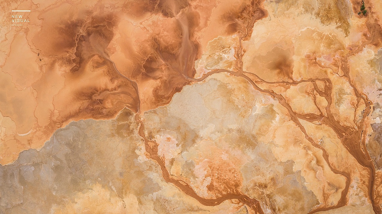 行走的工作-2022合集 一