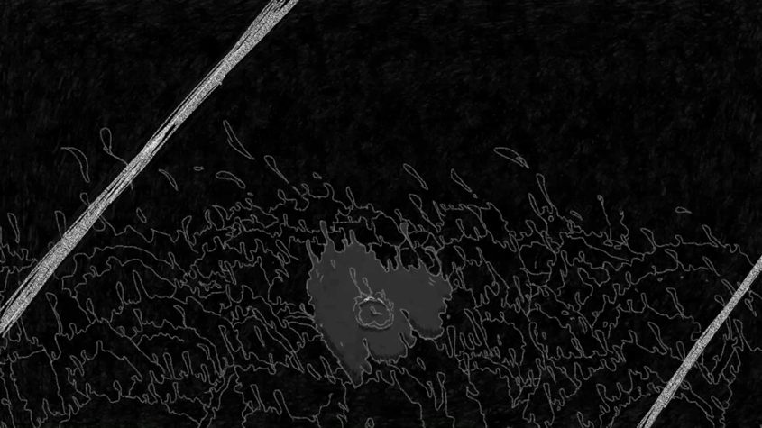 For you | 个人独立动画短片