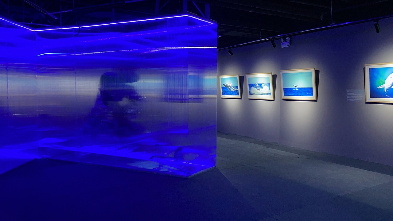 #0000ff——海洋环保主题艺术展